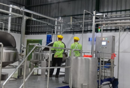 Denyut Industri Nanas dari Harapan Masyarakat